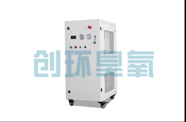黔西南工厂化养鲈必看：2026年臭氧发生器替代传统消毒的最新方案
