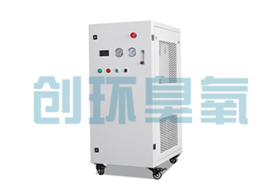 黔西南石斑鱼养殖水质调控完整指南：臭氧发生器配置与操作步骤