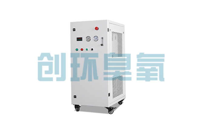 黔西南比传统换水更高效？臭氧发生器在石斑鱼养殖中的水质净化原理解析