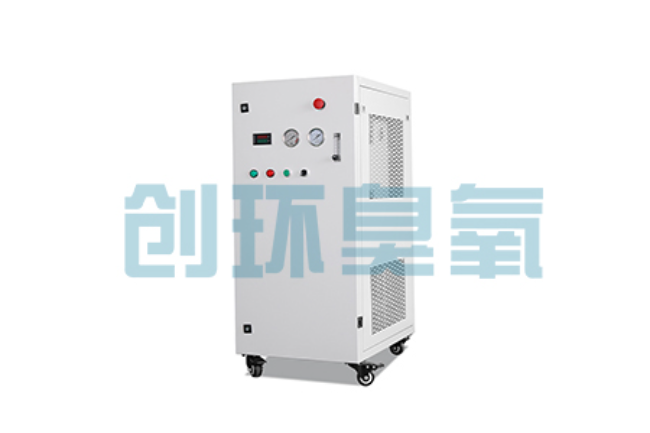 黔西南比传统换水更高效?臭氧发生器在石斑鱼养殖中的水质净化原理解析